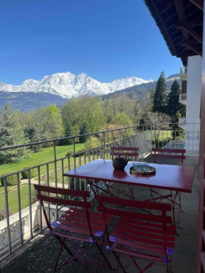 Appartement vue Mont Blanc